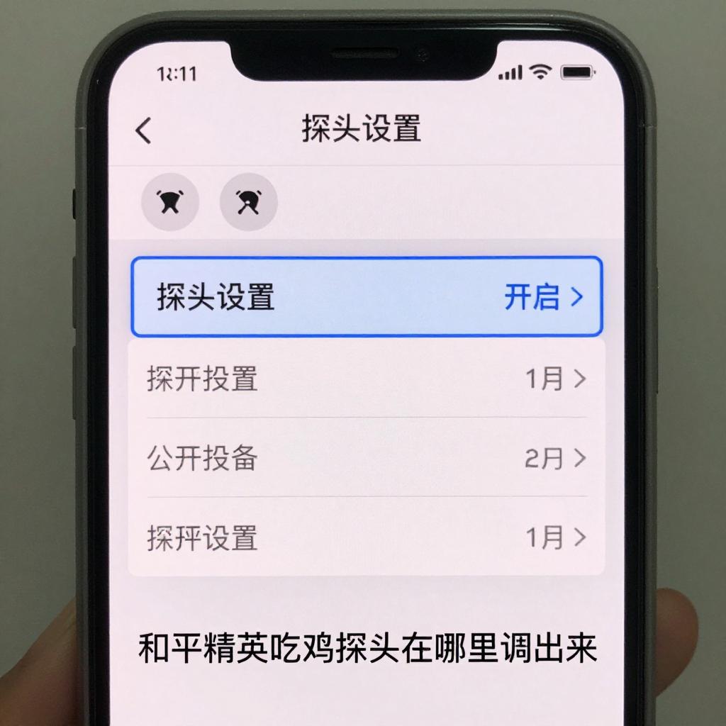 和平精英吃鸡探头在哪里调出来官方正版下载 - 极玩家