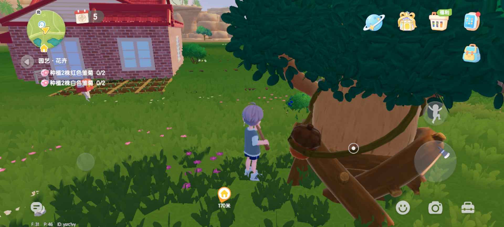 心动小镇每日萤石和橡木位置（持续更新中）(图24)