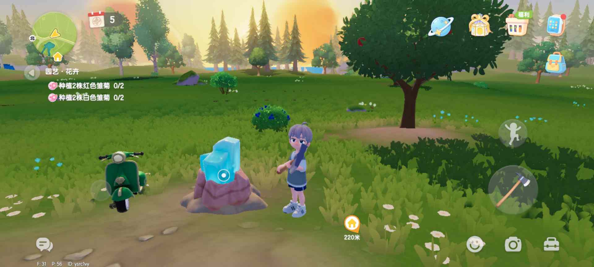 心动小镇每日萤石和橡木位置（持续更新中）(图25)