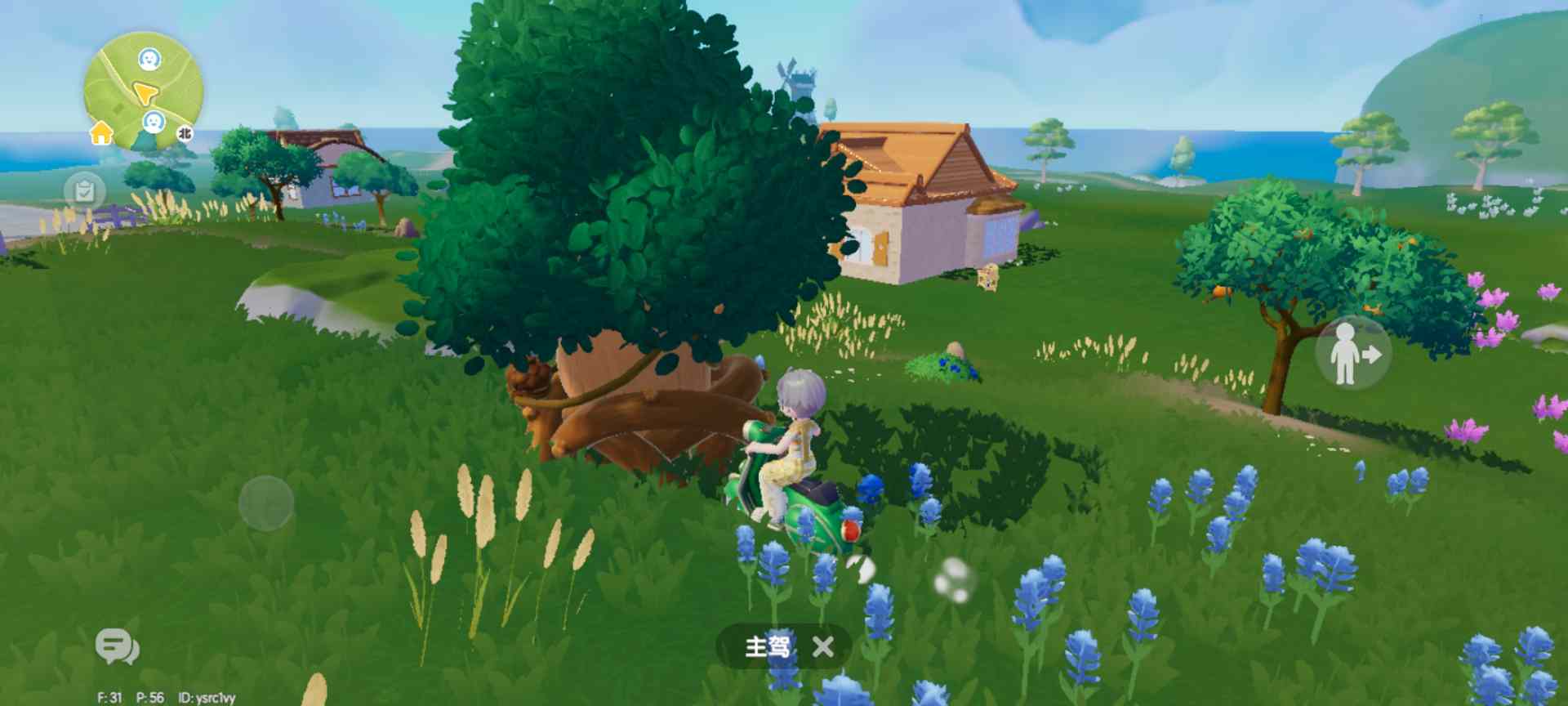 心动小镇每日萤石和橡木位置（持续更新中）(图26)