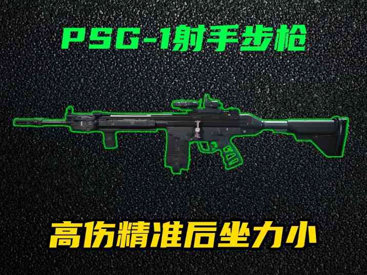 三角洲行动【全面战场】PSG-1高伤高精准利器，中远距离步枪手必备！(图1)