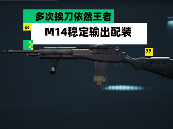 三角洲行动【全面战场】多次挨刀依然王者 M14稳定输出配装(图1)