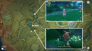 原神【世界任务】兽有失蹄 全流程解析(图3)