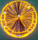 魔法工艺《魔法工艺》奥义·圣宠风火轮！(图17)