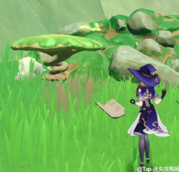 原神《原神》：须弥新添加项目(图5)