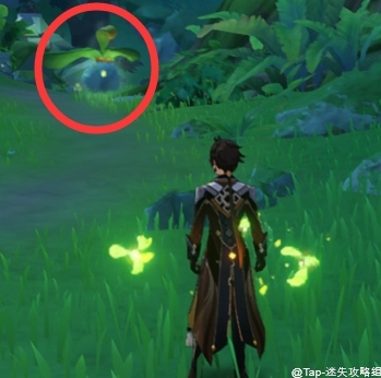 原神《原神》：须弥新添加项目(图8)