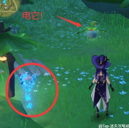 原神《原神》：须弥新添加项目(图9)