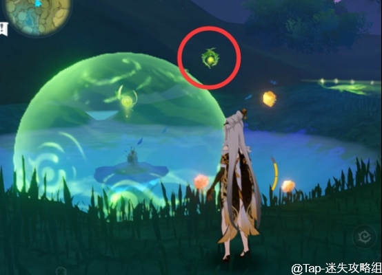 原神《原神》：须弥新添加项目(图13)