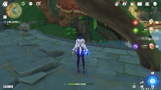 原神【世界任务】水天共书 全流程解析(图13) 原神【世界任务】水天共书 全流程解析(图13)