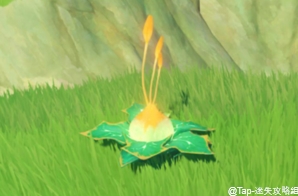 原神《原神》：须弥新添加项目(图20)