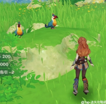 原神《原神》：须弥新添加项目(图28)