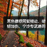 黑色信标阿紫被动、破韧加伤、宁沙专武是同乘区!(图3) 黑色信标阿紫被动、破韧加伤、宁沙专武是同乘区!(图3)