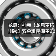 龙息：神寂【龙息不朽测试】双金难民海王200w思路分享官方正版下载 - 极玩家
