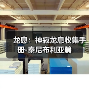 龙息：神寂龙息收集手册-泰尼布利亚篇（图2）