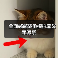 全面憨憨战争模拟器义军派系(图3) 全面憨憨战争模拟器义军派系(图3)