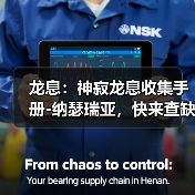 龙息：神寂龙息收集手册-纳瑟瑞亚，快来查缺补漏！（图4）