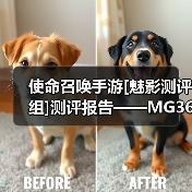 使命召唤手游[魅影测评组]测评报告——MG36轻机枪（图2）