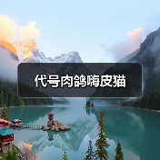代号肉鸽嗨皮猫（图4）