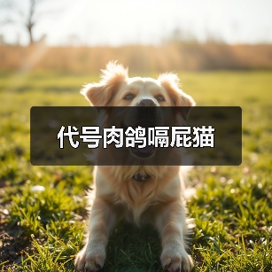 代号肉鸽嗝屁猫（图2）
