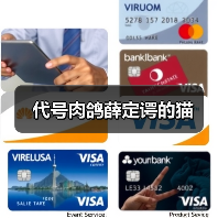 代号肉鸽薛定谔的猫官方正版下载 - 极玩家