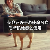 使命召唤手游使命召唤盾牌机枪怎么使用(图4) 使命召唤手游使命召唤盾牌机枪怎么使用(图4)