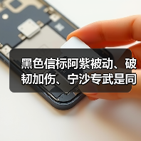 黑色信标阿紫被动、破韧加伤、宁沙专武是同乘区！官方正版下载 - 极玩家