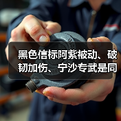 黑色信标阿紫被动、破韧加伤、宁沙专武是同乘区!(图4) 黑色信标阿紫被动、破韧加伤、宁沙专武是同乘区!(图4)