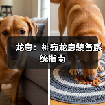 龙息：神寂龙息装备系统指南官方正版下载 - 极玩家