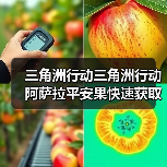 三角洲行动三角洲行动阿萨拉平安果快速获取及点位大全(图2) 三角洲行动三角洲行动阿萨拉平安果快速获取及点位大全(图2)