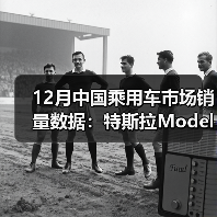 12月中国乘用车市场销量数据：特斯拉Model Y稳居第一（图1）