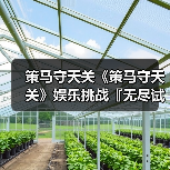 策马守天关《策马守天关》娱乐挑战『无尽试炼』阵容推荐(图1) 策马守天关《策马守天关》娱乐挑战『无尽试炼』阵容推荐(图1)