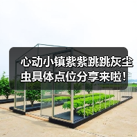 心动小镇紫紫跳跳灰尘虫具体点位分享来啦！超详细！（图3）
