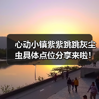 心动小镇紫紫跳跳灰尘虫具体点位分享来啦！超详细！（图4）