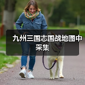 九州三国志国战地图中采集（图4）