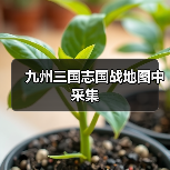 九州三国志国战地图中采集（图3）