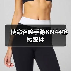 使命召唤手游KN44枪械配件（图2）