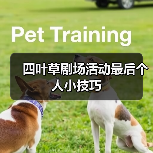 四叶草剧场活动最后个人小技巧（图2）