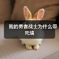 我的勇者战士为什么带死境（图3）