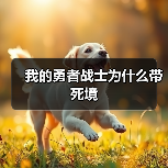我的勇者战士为什么带死境（图4）
