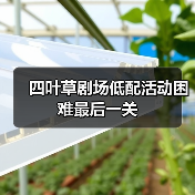 四叶草剧场低配活动困难最后一关(图1) 四叶草剧场低配活动困难最后一关(图1)