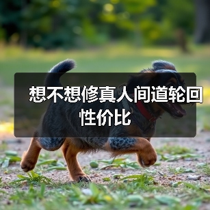 想不想修真人间道轮回性价比（图2）