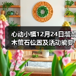 心动小镇12月24日溜溜木萤石位置及活动摘要（图3）