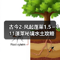 古今2-风起蓬莱1.5～1.11蓬莱秘境水土攻略（图2）