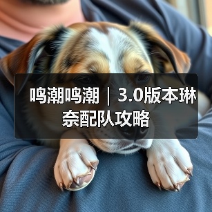 鸣潮鸣潮｜3.0版本琳奈配队攻略（图3）