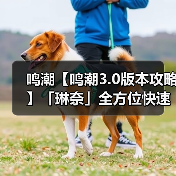 鸣潮【鸣潮3.0版本攻略】「琳奈」全方位快速养成攻略（图1）