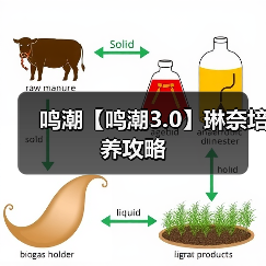 鸣潮【鸣潮3.0】琳奈培养攻略（图1）