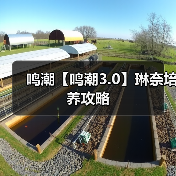 鸣潮【鸣潮3.0】琳奈培养攻略（图3）