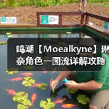鸣潮【Moealkyne】琳奈角色一图流详解攻略（图4）