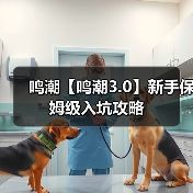 鸣潮【鸣潮3.0】新手保姆级入坑攻略（图1）