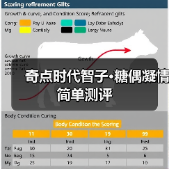 奇点时代智子·糖偶凝情简单测评（图4）